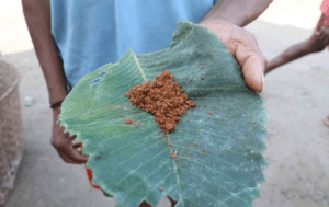 A villager proudly showcasing red ant chutney | Photo by Simit Bhagat