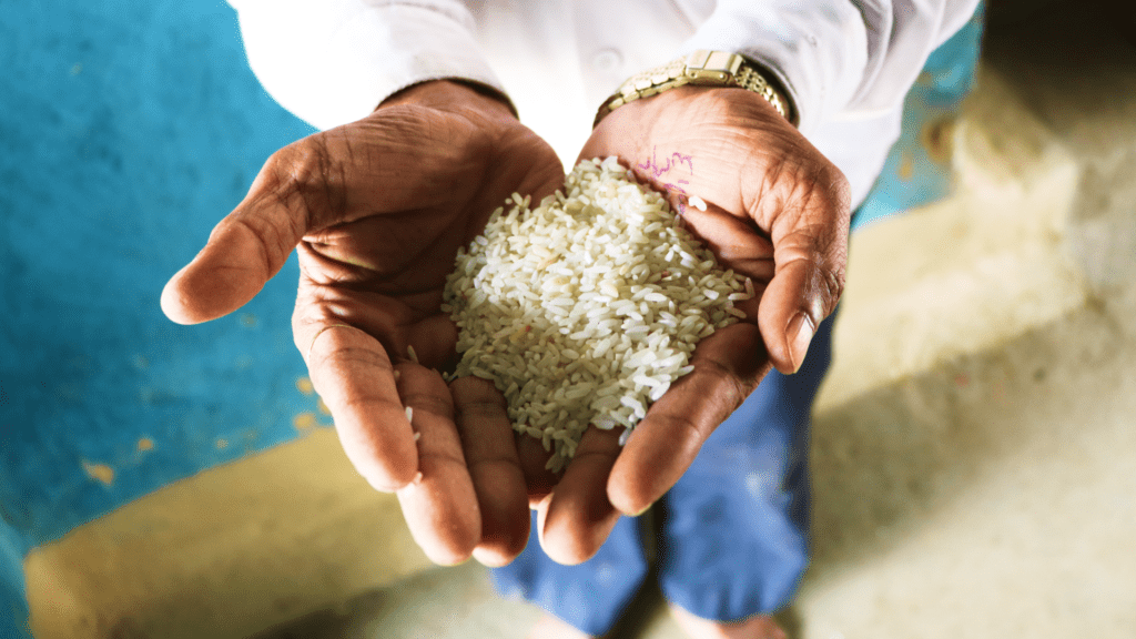 A ration shop owner showing fortified rice grains | Photo by Simit Bhagat