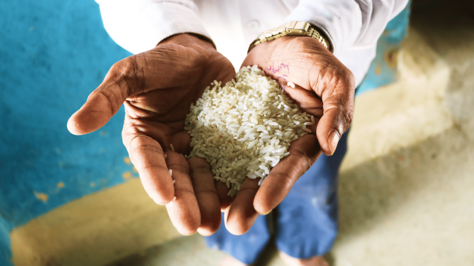 A Multimedia Project on Fortified Rice - Simit Bhagat Studios